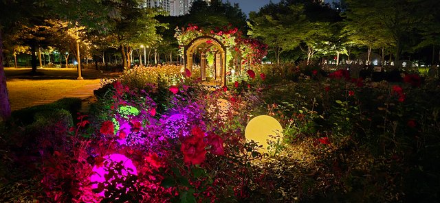 KakaoTalk_20250605_215133730_16.jpg