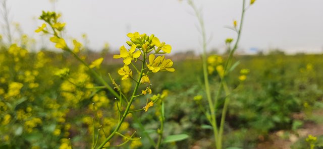 20220123_124106.jpg
