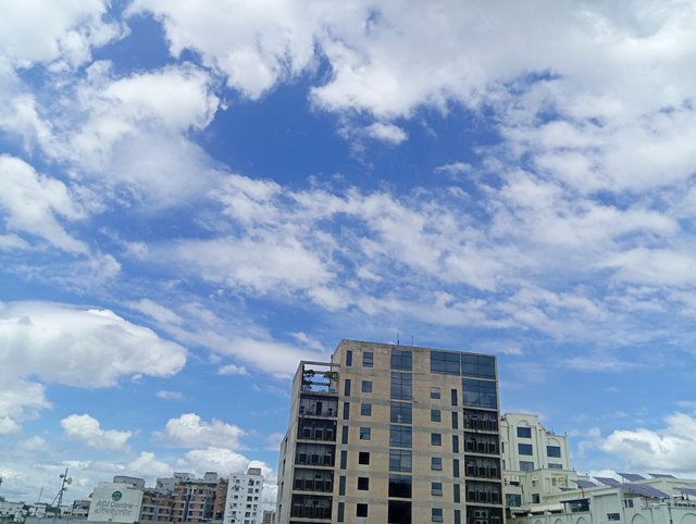1000584037.jpg