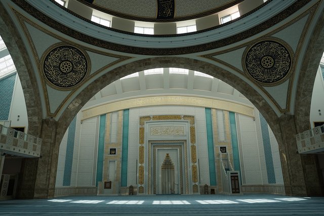 turkey-4555561_960_720.jpg