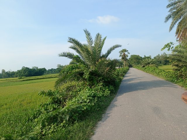 IMG_20250712_170207.jpg