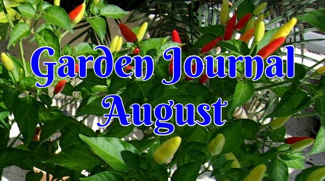 augustgardencover1.jpg