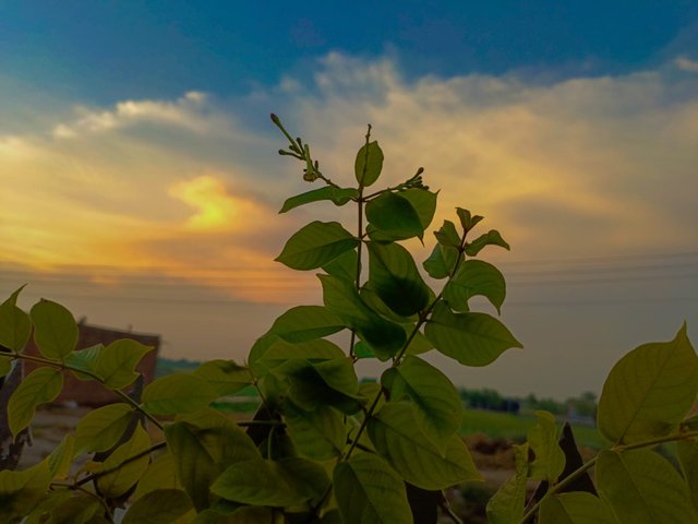 1C3A1596-EDAF-4E03-9174-39B7B0AEAA04.jpeg