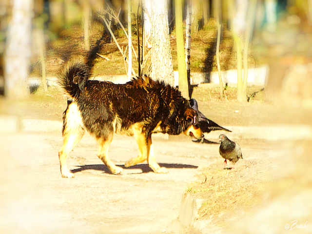 DSC00383.png