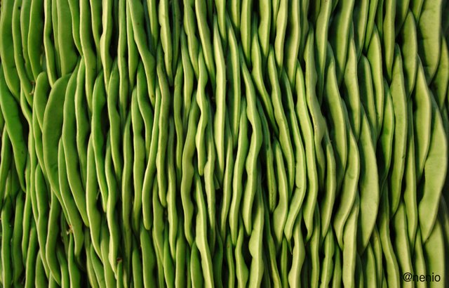 beans-green.jpg