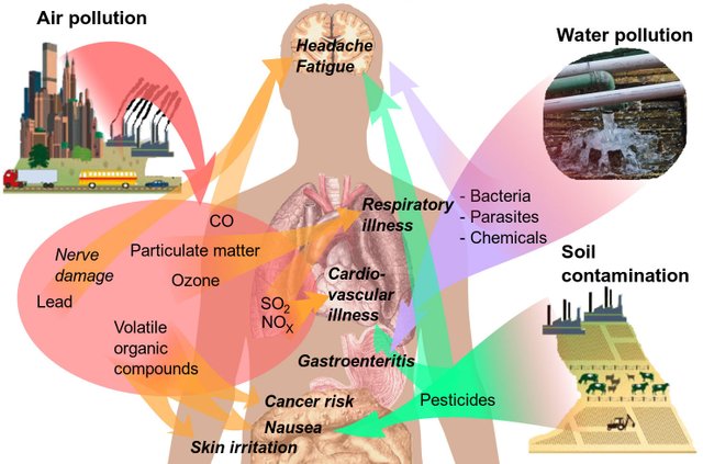 pollutionsideeffectsMOD.jpg