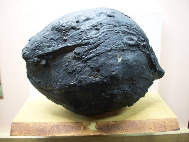 volcanic bomb.jpg