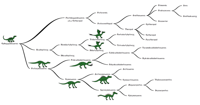 Dragon cladogram 2.PNG