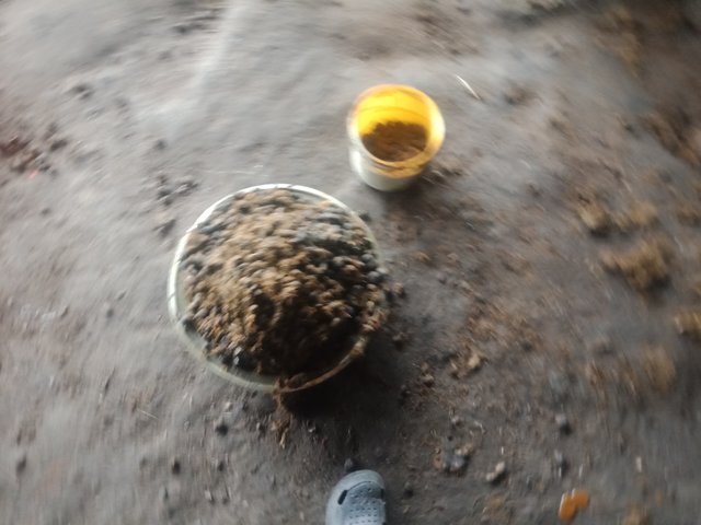 IMG20250727140045.jpg