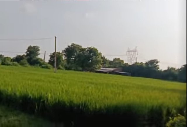1758044570319.jpg