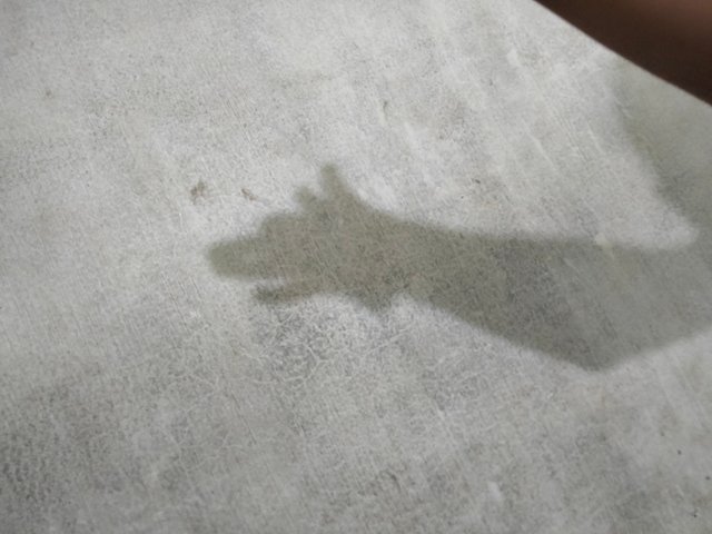 IMG20251002135150.jpg