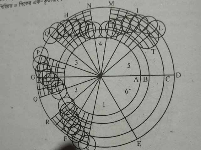 1000039480.jpg