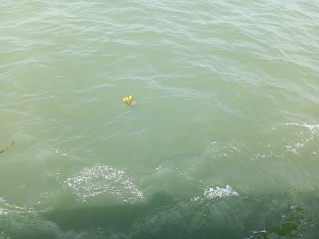 IMG_20250308_122510_971.jpg