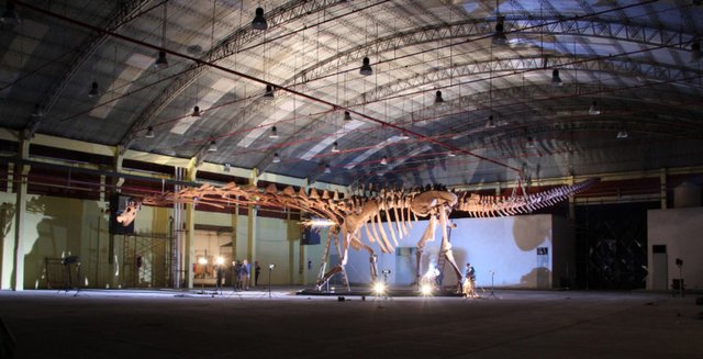 image_5121_3e-Patagotitan-mayorum.jpg