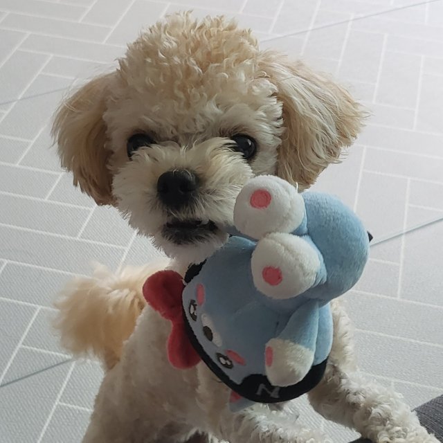 KakaoTalk_20210926_211802602.jpg
