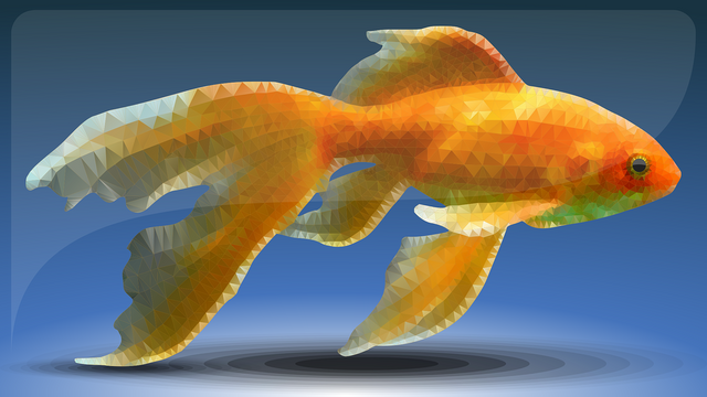 fish-3774184_1280.png