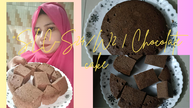 SLC-S24W2  Chocolate cake.png