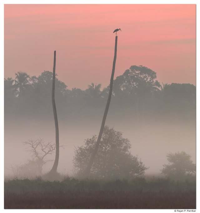 Batim-Sunrise-Fog-Goa.jpg