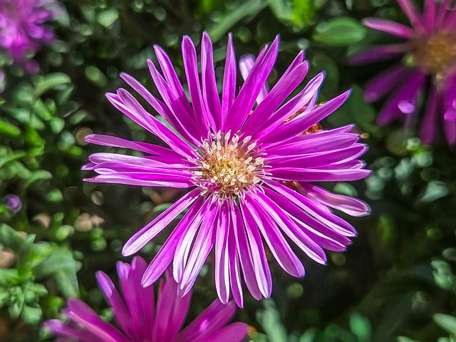 20250913_122902.jpg