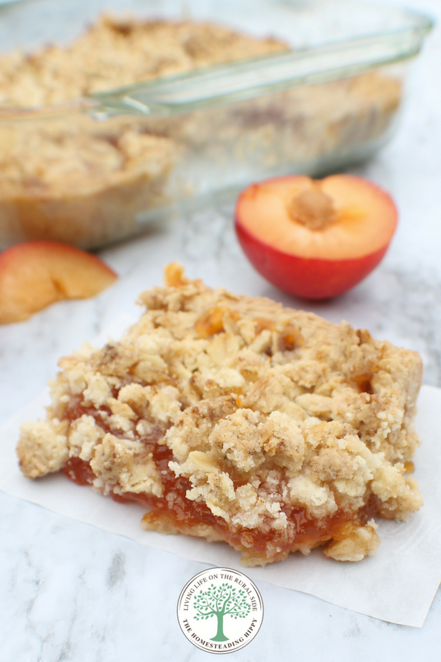 apricot oat bars pin 3.png