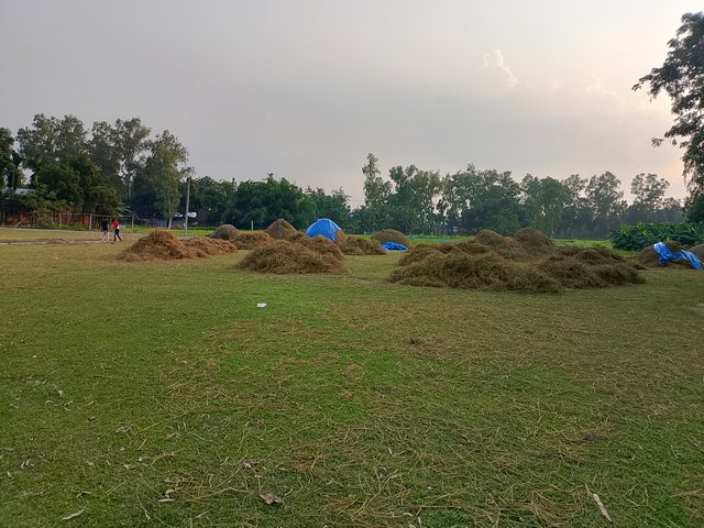 1000040745.jpg