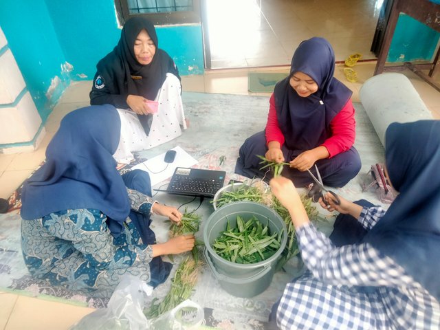 IMG20250614092946.jpg