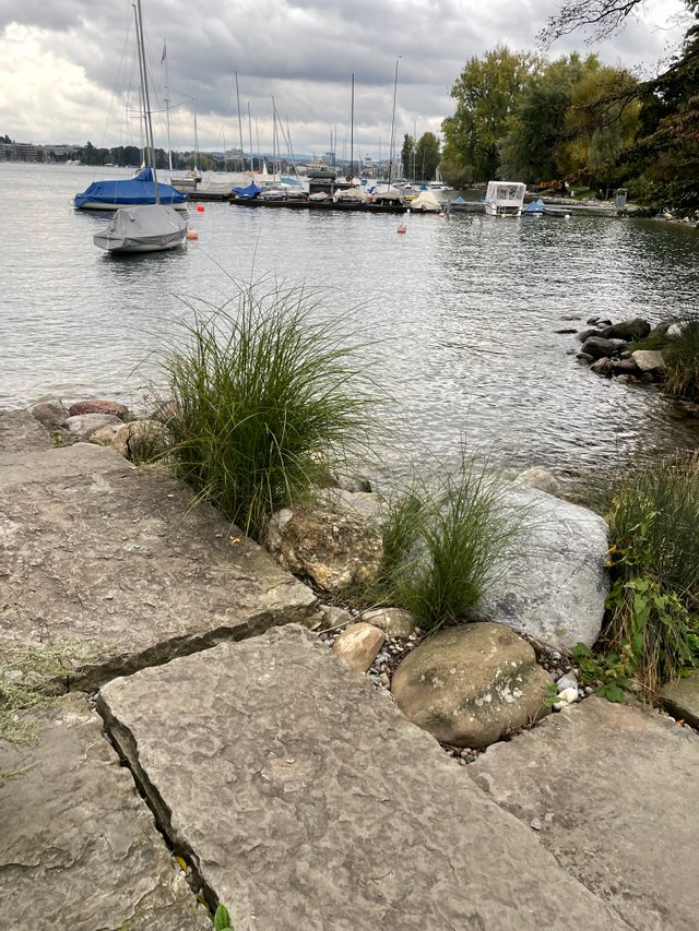IMG_8938.jpeg