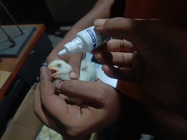 IMG20250504161606.jpg