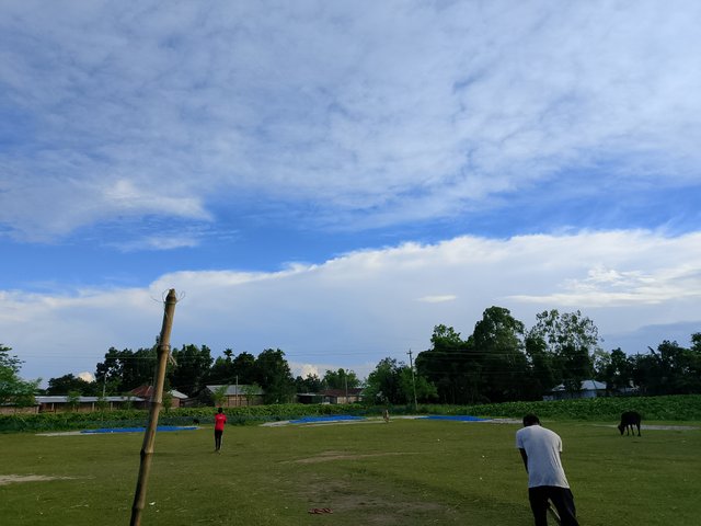 1000043711.jpg