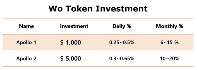 wo_token_investment_001.jpg