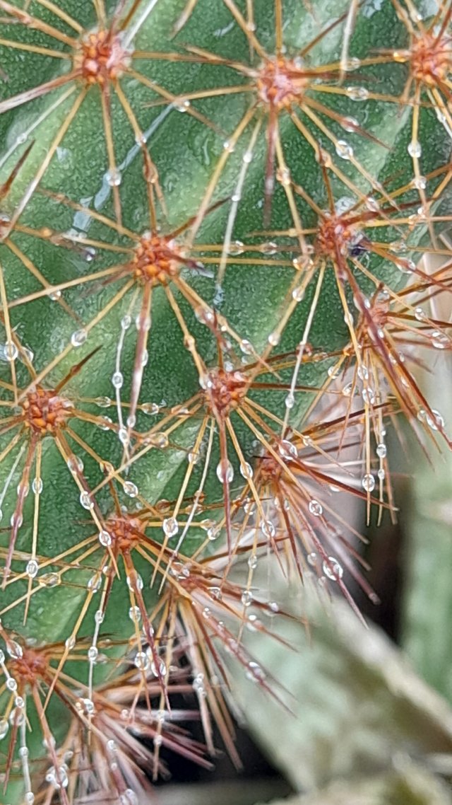 20250730_143141.jpg