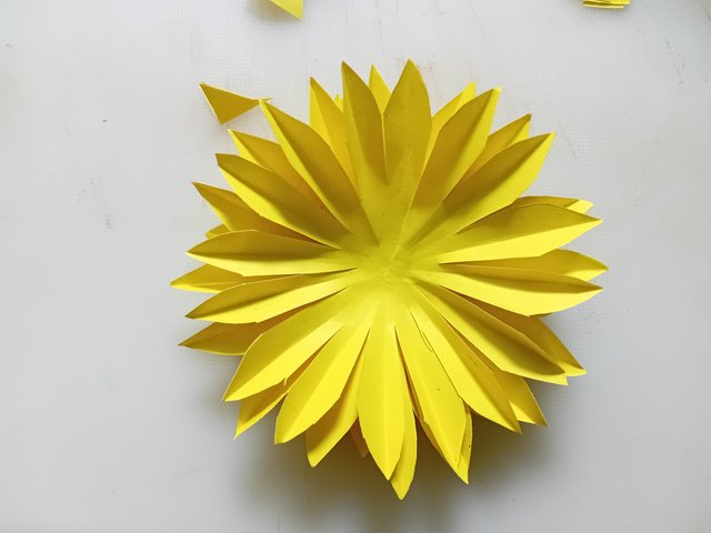 1000043898.jpg
