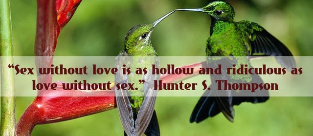 sex-without-love-is-hollow1.jpg