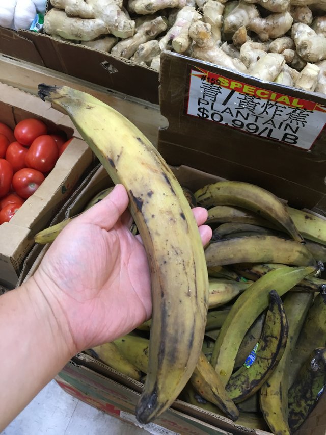 IMG_9147 2.jpeg