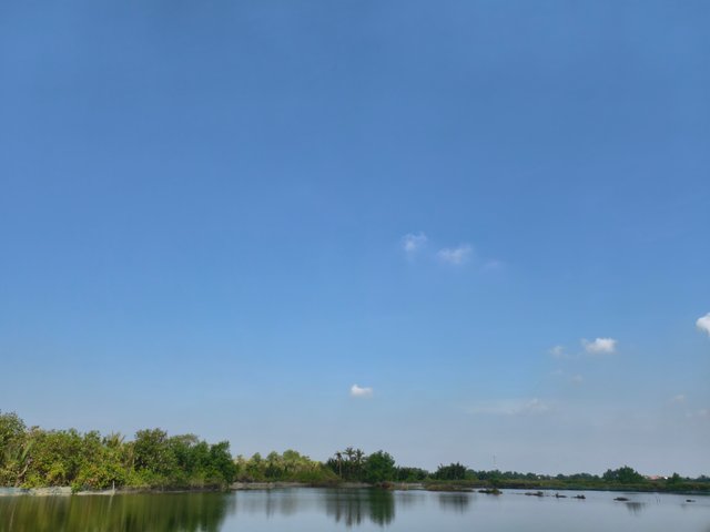 IMG_20250512_081529.jpg