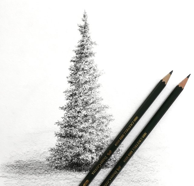 pine-tree-pencil-drawing.jpg