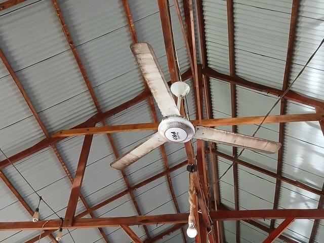 20250512_074107.jpg