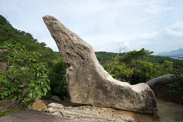 b-250723-070839.jpg
