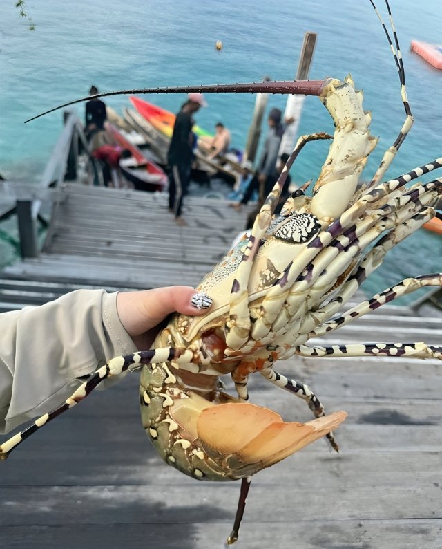 마시다