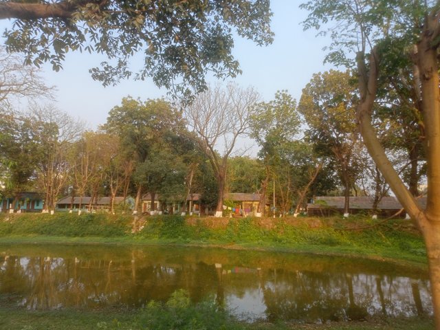 IMG20250307165734_01.jpg