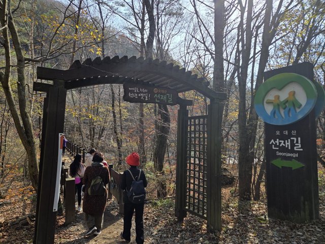 카카오스토리_2025_11_01 23_50_30.jpg