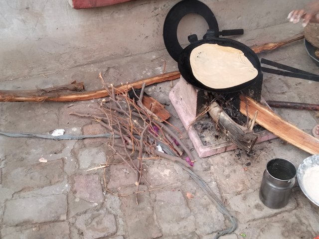 IMG20250806065548.jpg