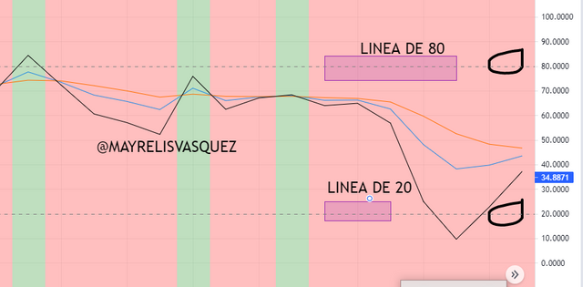 LINEA DE 80 Y 20.png