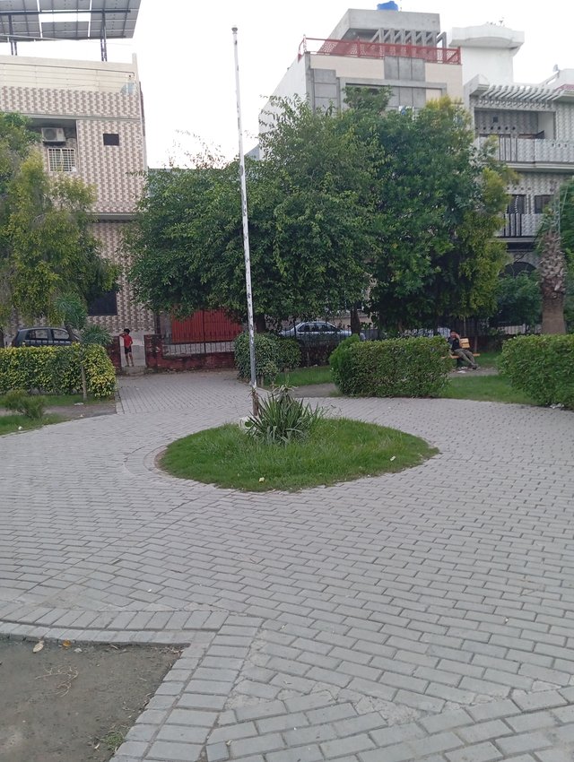 1000101579.jpg