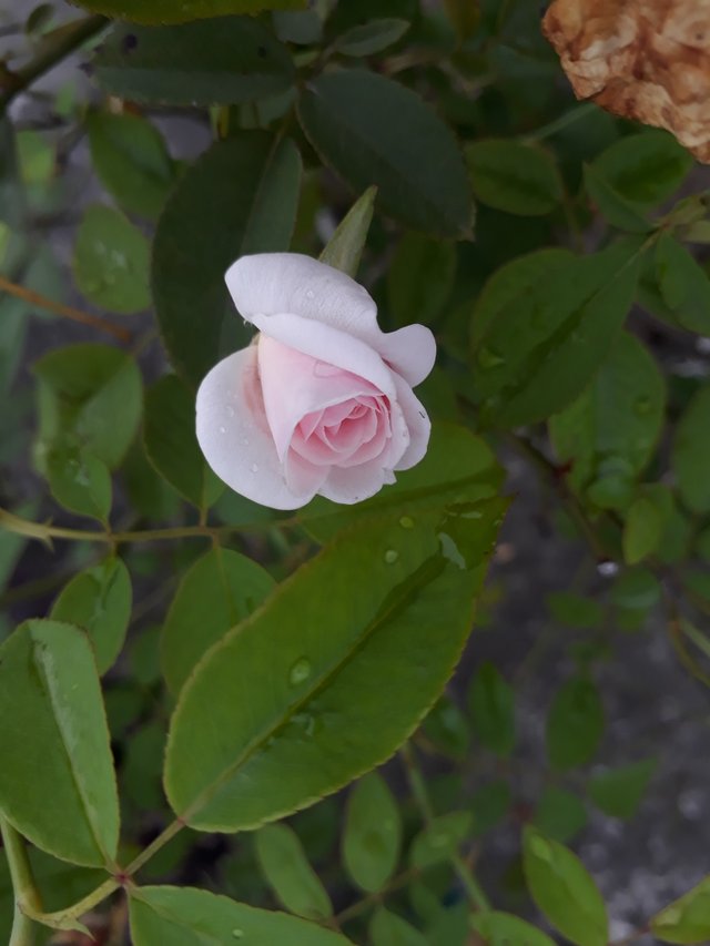 20200915_165359.jpg