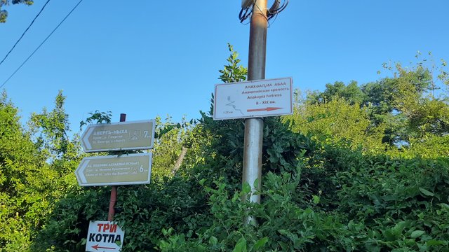 20230805_071630.jpg