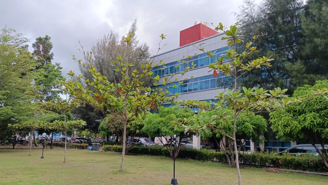 20250514_175622.jpg