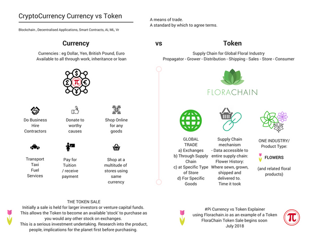 Currency vs Token - Florachain.io Token Eplainer July 2018.png