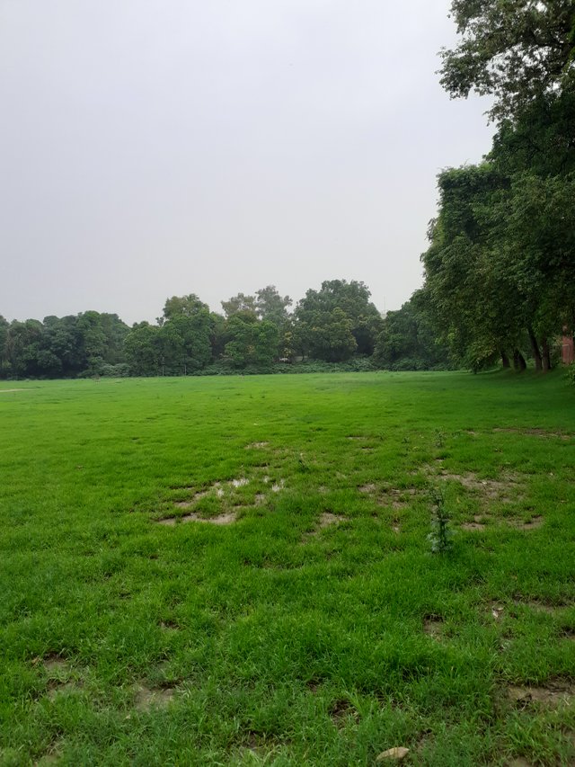 20250714_141929.jpg