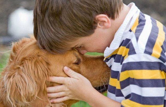 perros-en-la-familia.jpg